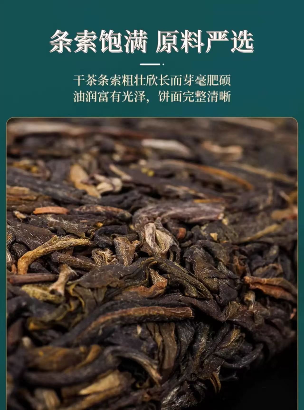生肖紧压茶liupaotea