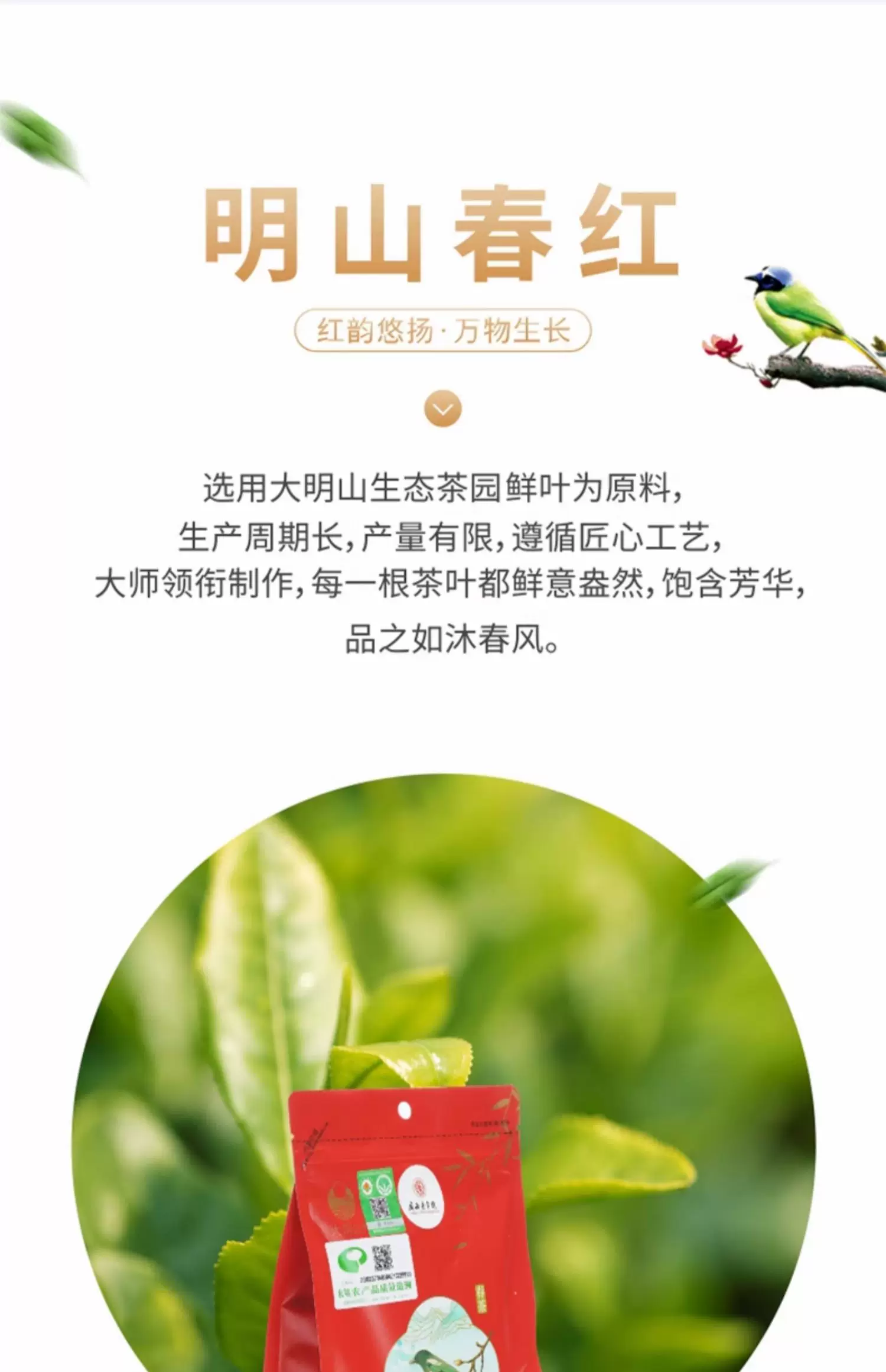 明山春红 明山春红