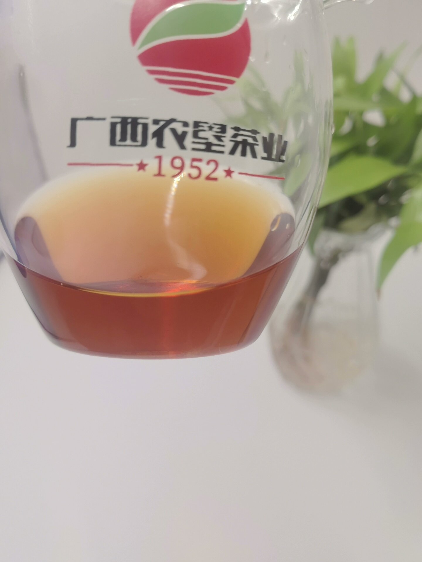 六堡茶果壳