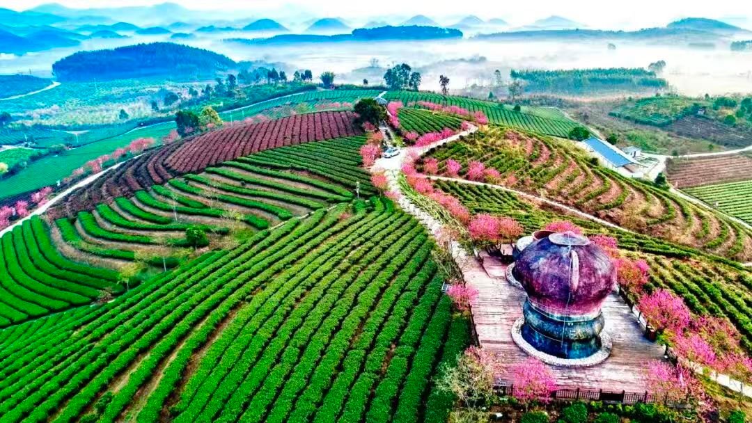 e1d46d97b1d311b5d1174524b5e95663